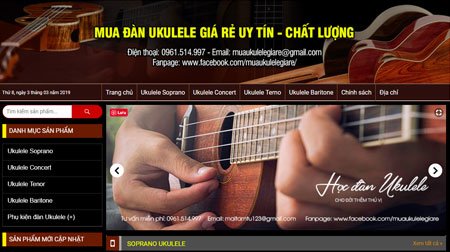 Mẫu-website-bán-nhạc-cụ---Thiết-kế-website-tại-Ninh-Bình